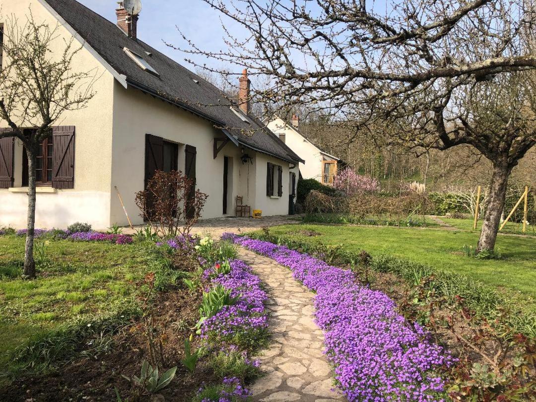 Le Clos Fleuri - Chambres D'Hotes Onzain Extérieur photo